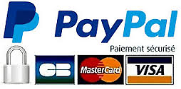 Logo paypal 1