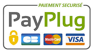 Logo payplug